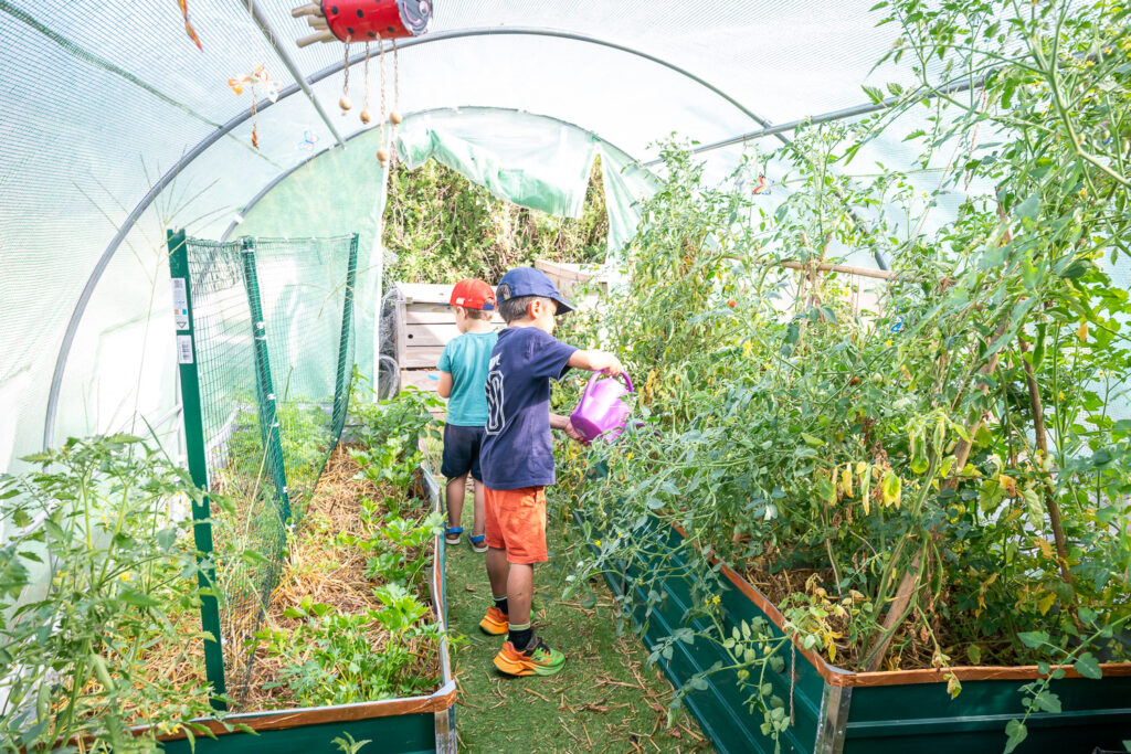 Enfants au potager de l'école ouVerte
